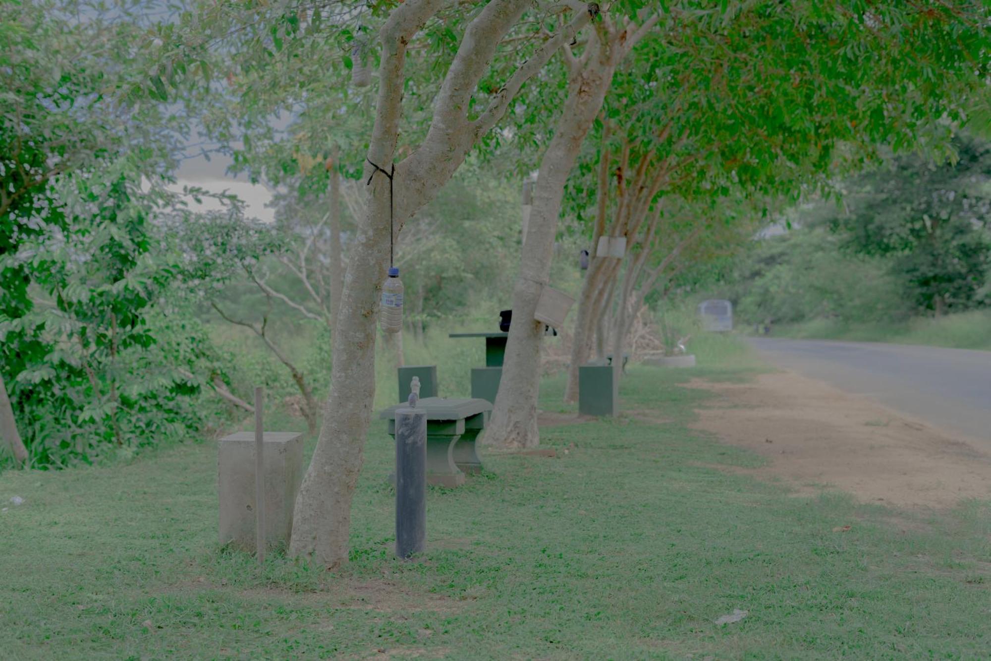 Wilpattu Restaurant & Guest House Pahala Maragahawewa Exterior foto
